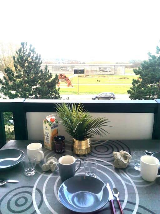 L'oree Du Marais, T2 Avec Balcon, 350m De La Apartment